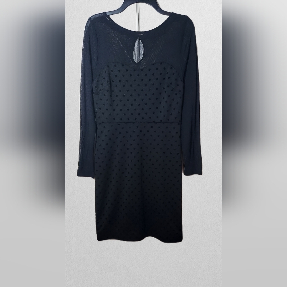 The Limited Medium Black Polkadot Mesh Sleeve Dress